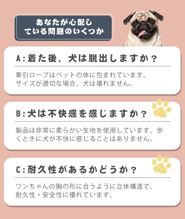 楽天市場 名入れ可 犬 首輪 ペット用 単品 名前 大型犬 中型犬 小型犬 可愛い ペット首輪 抜けない 柔らかい 通気性 ペット 簡単装着 お散歩 おしゃれ ペットグッズ 雑貨 犬用 春 秋 冬 反射布付き お出掛け 耐久性 ペットグッズ スーパーゼール