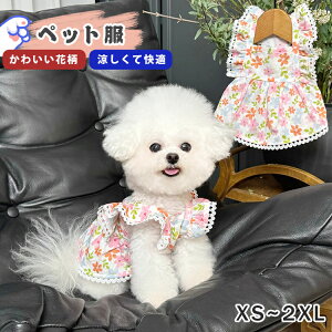  ĕ ^ s[X   o 킢 hbOEFA ybgEFA U   ₷ ԕ ʋC ybg  y t  ėp  Ck