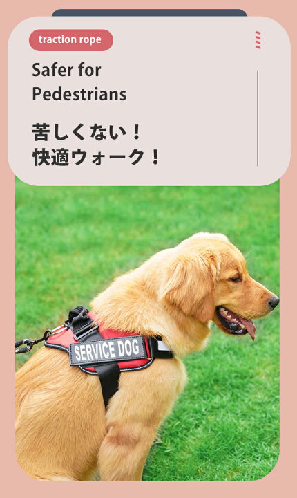 楽天市場】【名入れ可】 犬 ハーネス 名前 胴輪 ネーム 迷子札 名前 
