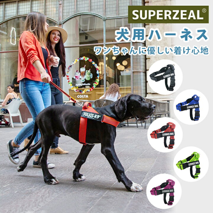 楽天市場 名入れ可 犬 ハーネス 胴輪 単品 名前 小型犬 中型犬 大型犬 夜間反射 通気性 快適 全犬種用 簡単装着 マジックテープ カスタムラベル サイズ調整可能 ハンドル付き お散歩 アウトドア 引っ張り防止 チェストストラップ 犬具 スーパーゼール