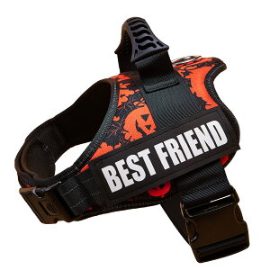 yyV6! z  n[lX O  ^ ^ ^ ߉\ SȂ  qD Ȃ ȒP CjV h~ pn[lX U o AEghA