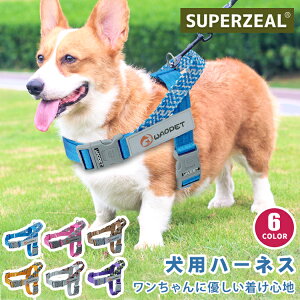 yz  n[lX O  l[ qD ^  Ȃ EȂ ȒP CjV nht h~ ^ ^ U o AEghA qh~ 