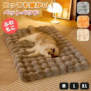 ybgxbh ybg}bg  􂦂 ~ H L  ybguPbg ѕz  ӂƂ ӂӂ  ې Lxbh ybgp ybgpQ H~  lR ΍ tF