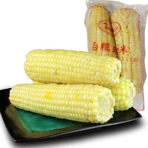 ⓀʕĖ_2{ ~H Ƃ낱  Sʕ ^ LV[R[ RN gERV uʕ Y ؐH 420gȏ [ⓀHi]