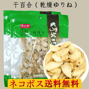 ylR|XzS2_Zbg S ˖V S VX[v Y 100g×2 摜2ނ_ɔ