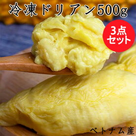 冷凍ドリアン（榴蓮）3点セット 非真空 冷凍フルーツ 種あり モントーンドリアン Frozen Monthong Durian 500g×3 ベトナム産 [冷凍食品]