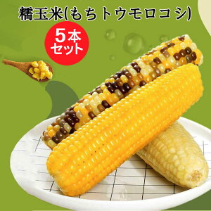 V ʕĖ_5{Zbg ƍƔʕĂ3킩Iׂ Ƃ낱  ς tgERV uʕ ^pbNR[ ؐH Sʕ Y dqWOK 23