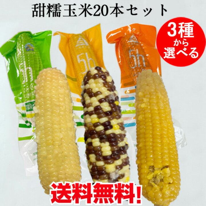 楽天市場】天勤 甜糯玉米20本セット 軸付きトウモロコシ 糯玉米棒 黄糯  