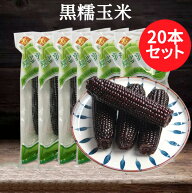 黒糯玉米20本セット 黒もちとうもろこし もちもち 調理済み 粘玉米 温めるだけ 軸付きトウモロコシ 真空…