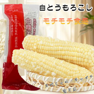ot ʕ (1{) Ƃ낱  ς ߂邾 Sʕ ^pbNR[ ؐH dqWOK Y