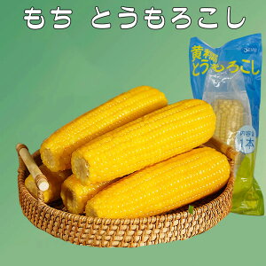 È ʕ (1{) Ƃ낱 Sʕ ^pbNR[  ς ߂邾 ؐH dqWOK Y