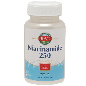 ナイアシンアミド（ビタミンB3） 250mg 100粒 サプリメント 健康サプリ サプリ ビタミン ナイアシン 栄養補助 栄養補助食品 アメリカ タブレット ビタミンB3・ナイアシン