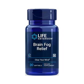 ブレインフォグ リリーフ 30粒Brain Fog Relief 認知力 集中力 サポート 覚醒 Life Extension ライフエクステンション サプリ 海外サプリ