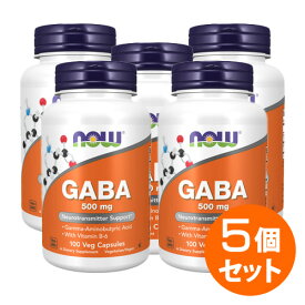 【5個セット】ギャバ GABA（ガンマアミノ酪酸）＋B6 100粒 サプリメント 健康サプリ サプリ ギャバ 栄養補助 栄養補助食品 アメリカ カプセル サプリンクス
