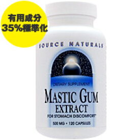 お得サイズ マスティックガム 500mg 120粒 ダイエット・健康 サプリメント 健康サプリ 植物・ハーブ Source Naturals ソースナチュラルズ サプリンクス 植物性エキス