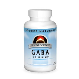 ギャバ GABA（ガンマアミノ酪酸） 750mg 45粒 サプリメント 健康サプリ サプリ ギャバ 栄養補助 栄養補助食品 アメリカ カプセル サプマートUSA GABASource Naturals