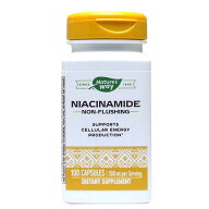 ナイアシンアミド（ビタミンB3） 500mg 100粒 サプリメント 健康サプリ サプリ ビタミン ナイアシン 栄養…