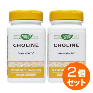 �y2�Z�b�g�z�R���� 500mg 100�� �T�v�������g ���N�T�v�� �T�v�� �r�^�~�� �r�^�~��B�Q �h�{�⏕ �h�{�⏕�H�i �A�����J ���O �^�u���b�g �T�v�}�[�gUSA �ʔ� �y�VNature's Way