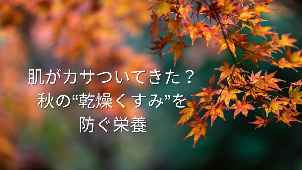 肌がカサついてきた?秋の“乾燥くすみ”を防ぐ栄養 💐