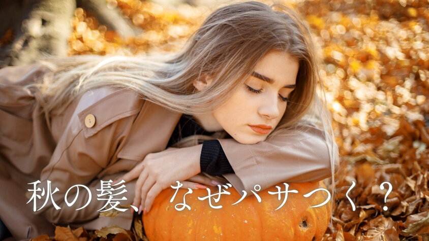 乾燥だけじゃない!“髪のパサつき・抜け毛”ケアでツヤ復活✨