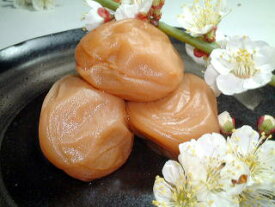 和歌山の梅農家にし川のすっぱい梅干し500g（保存料無添加・無着色）
