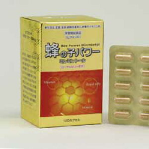 yܖ2026N4iłzI̎qp[~~g[@120JvZ