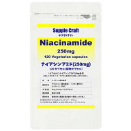 ナイアシンアミド （ビタミンB3） 1カプセルにナイアシンアミド250mg 120カプセル入 国内製造