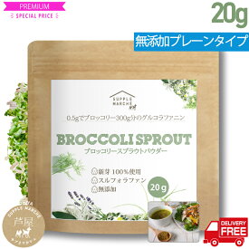 国産 ブロッコリースプラウトパウダー 20g（50回分）150日 無添加100％パウダー 完全無農薬 医師が選ぶ最強食材 スルフォラファン 送料無料 エイジングケア ブロッコリー スーパー スプラウト サプリ 粉末 ブロッコリー