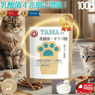 価格据置乳酸菌20％パワーアップ！猫ちゃん用ペット乳酸菌サプリ 『TAMAの乳酸菌 オリゴ糖』100g 粉末 乳…