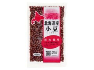 Y kCY_͔| 250G×10Zbg