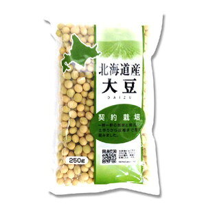 Y kCY_͔|哤 250G×10Zbg