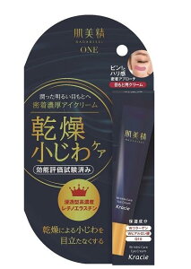 NVG ONE NPA ZACN[ /   ڌPA WPA bϕi  pbN Q10 R[Q qA_ `mGX`  VAo^[