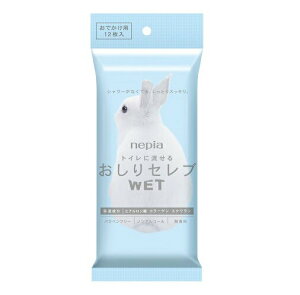 y[ւő `ȌꍇzqlsAlsA Zu EFbg łp i12j