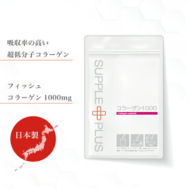 超低分子 フィッシュコラーゲン 1000 1袋 （ 100g ） [ コラーゲンパウダー 粉末 サプリメント コラーゲンペプチド マリンコラーゲン 海洋性 魚 コラーゲンドリンク 乾燥 潤い お試し おためし ポイント消化 ] RSL