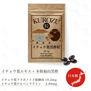 C`Et| i1j Tvg Tv 傤 C`EtGLX C`ETv C X  supplement |tFm[ t{mCh iCAV pge_ 