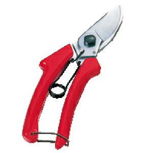 GR LD-DC1 [ؒfpJb^[ F/bh