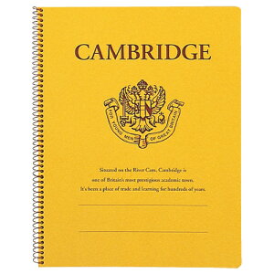 KYOKUTOLNgE P903 PubW(A4ό`)×5Zbg