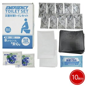 yzցzGsIX ЊQ΍gCZbg 10 MT-20RyhЗpiz