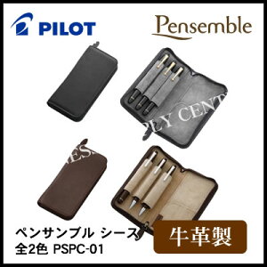 PILOT pCbg v t@Xi[yP[X yTu V[X S2F PSPC-01