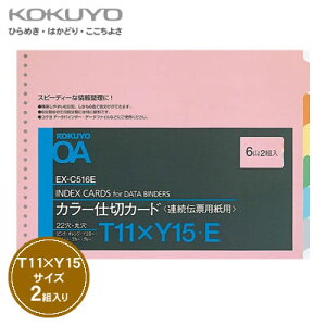 yzցzRN A`[pJ[d؃J[h(o[XgpE6Ro)T11×Y15/22/2g EX-C516E