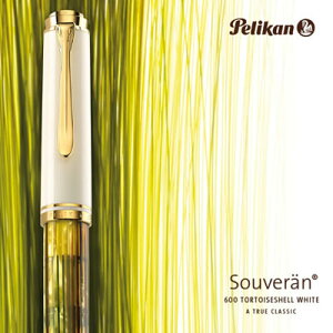 yzyJ NM X[x[ M400 g[^XVF/zCg zCgg[^X