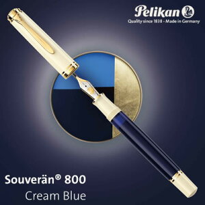 yzsʐYityJ NM X[x[ M800 N[u[y̓zy̓zyVz