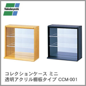 iJoV RNVP[X ~j ANI^Cv CCM-001