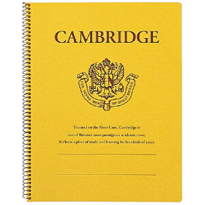 {m[g LNgE Om[g CJbW PubW A4 ʌr P903