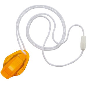 pJE|Call IW E-C-09