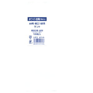 Pg 3(80)gȂ V313 100