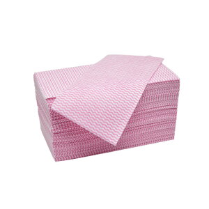 RۃJE^[NX 100 sN*16P