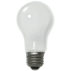 ELPA �V���J�d��60�` LW100V57W ��