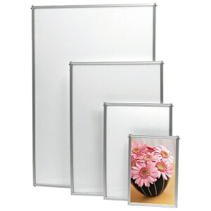 v`iNM plCgGR ALA2-S A2