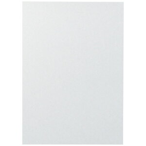 �Đ��ڕ\�� A4 100�� D152J